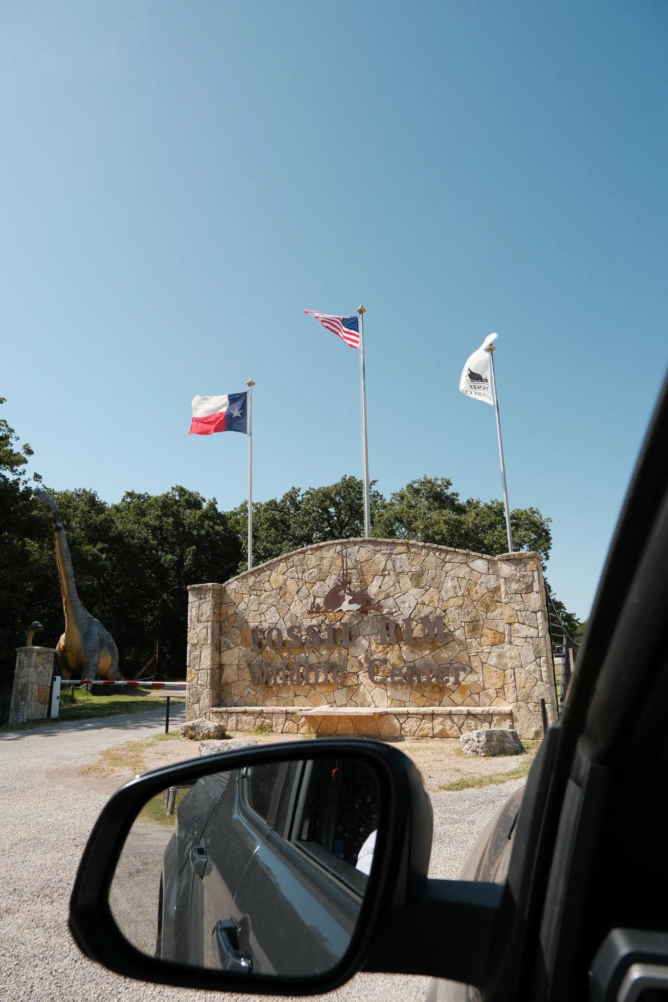 Fossil Rim with Ami — photo 1